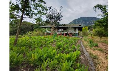 En Venta: ¡Casa De Campo Junto Al Morro Calzada.