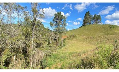 Lote Parcelacion Via El Escobero (Envigado)