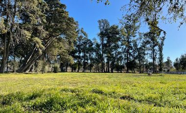 Lote Terreno  En Venta 894 m2 - Parques del Morenito, Moreno Norte