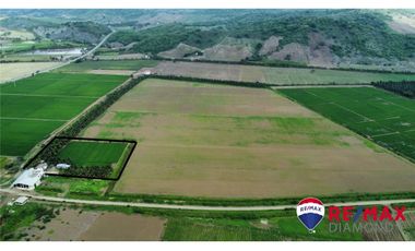 arrocera de venta en Rocafuerte Manabí