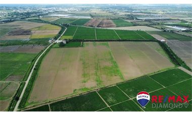 arrocera de venta en Rocafuerte Manabí