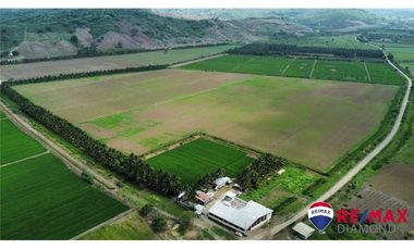 arrocera de venta en Rocafuerte Manabí