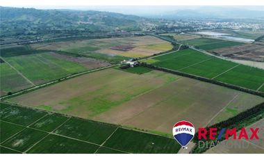 arrocera de venta en Rocafuerte Manabí