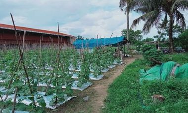 DI JUAL TANAH SELUAS 3147 M2 DI JL AIR DINGIN UJUNG PEKANBARU DEKAT UNIVERSITAS ISLAM RIAU