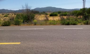 Venta 1250 hectáreas en Vallecitos, Tecate a 30 min Valle de Guadalupe