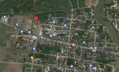 Tanah di Kedungbunder dekat SMAN Sutojayan Lodoyo Blitar