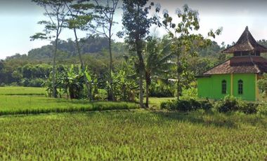 Tanah di Kedungbunder dekat SMAN Sutojayan Lodoyo Blitar