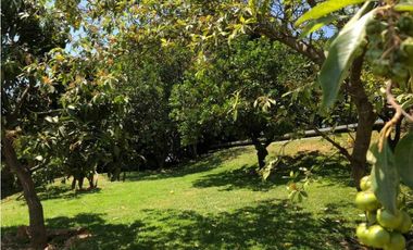 CASA EN VENTA EN OACALCO YAUTEPEC MORELOS CESIÓN DE DERECHOS