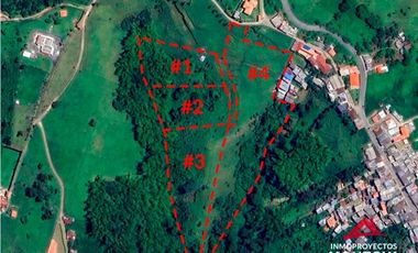 Lotes multipropósito en Altagracia, Pereira