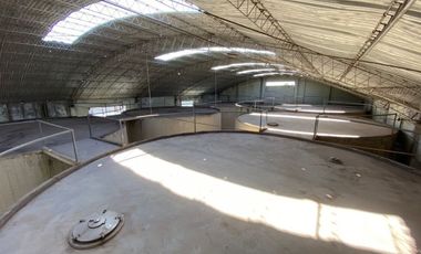 Excelente Oportunidad en San Rafael se Vende Bodega