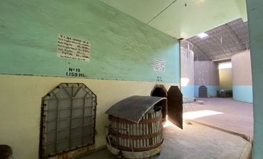 Excelente Oportunidad en San Rafael se Vende Bodega