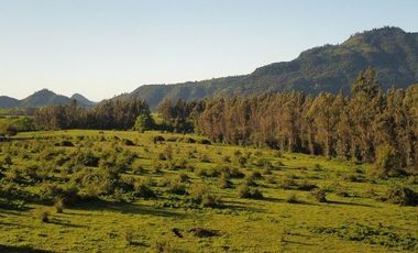 Sitio en Venta en Parcelas rio lircay