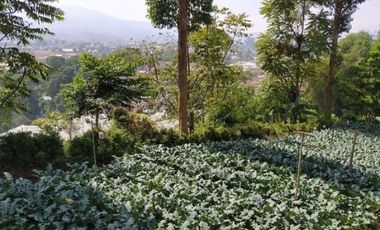 Tanah Perkebunan Bonus Bangunan Tua Cihanjuang Atas Parongpong Bandung Barat