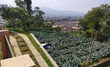 Tanah Perkebunan Bonus Bangunan Tua Cihanjuang Atas Parongpong Bandung Barat