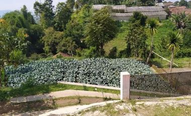 Tanah Perkebunan Bonus Bangunan Tua Cihanjuang Atas Parongpong Bandung Barat