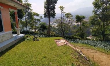 Tanah Perkebunan Bonus Bangunan Tua Cihanjuang Atas Parongpong Bandung Barat