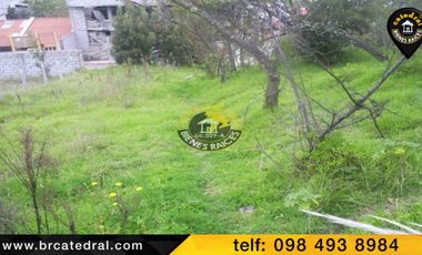 Terreno de venta en San Francisco – código:11974