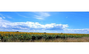 Se vende espectacular campo de 32 hectáreas en Otamendi.