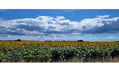 Se vende espectacular campo de 32 hectáreas en Otamendi.