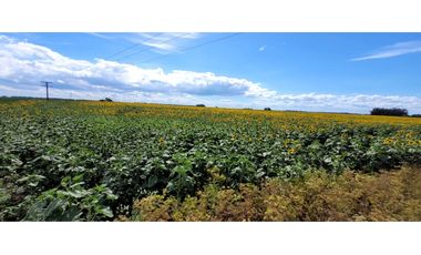 Se vende espectacular campo de 32 hectáreas en Otamendi.