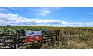 Se vende espectacular campo de 32 hectáreas en Otamendi.