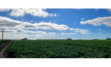Se vende espectacular campo de 32 hectáreas en Otamendi.