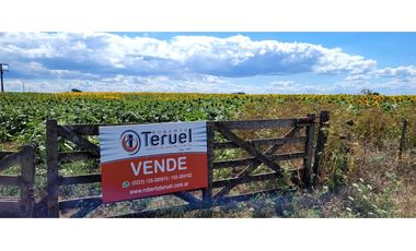 Se vende espectacular campo de 32 hectáreas en Otamendi.