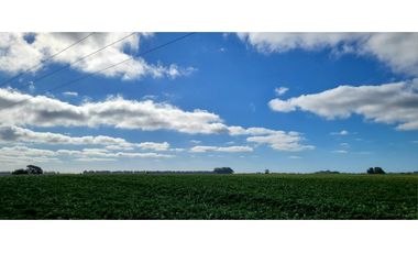 Se vende espectacular campo de 32 hectáreas en Otamendi.