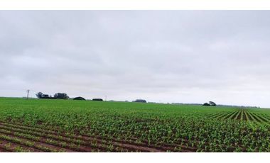 Se vende espectacular campo de 32 hectáreas en Otamendi.