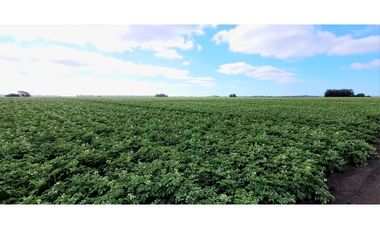 Se vende espectacular campo de 32 hectáreas en Otamendi.