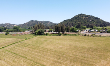 Parcela de Agrado (con Rol) entre San Clemente y Lago Colbún