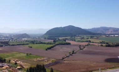 Parcela de Agrado (con Rol) entre San Clemente y Lago Colbún