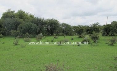 TERRENO 62 HA.  CON NAVE INDUSTRIAL  EN  DOLORES HIDALGO