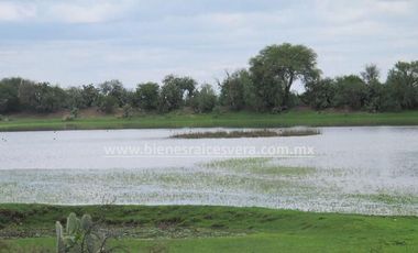 TERRENO 62 HA.  CON NAVE INDUSTRIAL  EN  DOLORES HIDALGO
