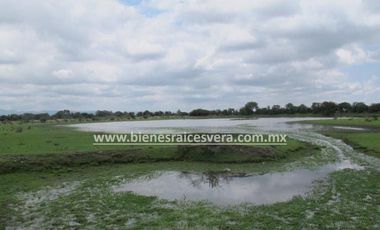 TERRENO 62 HA.  CON NAVE INDUSTRIAL  EN  DOLORES HIDALGO
