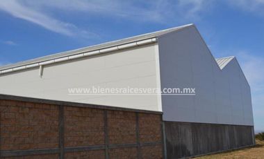 TERRENO 62 HA.  CON NAVE INDUSTRIAL  EN  DOLORES HIDALGO