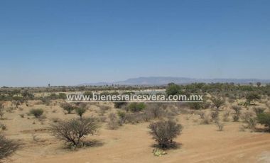 TERRENO 62 HA.  CON NAVE INDUSTRIAL  EN  DOLORES HIDALGO