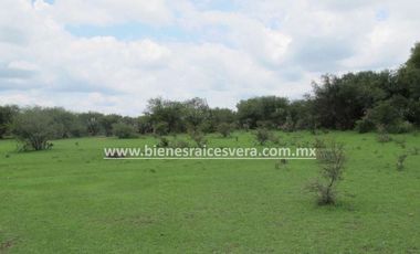 TERRENO 62 HA.  CON NAVE INDUSTRIAL  EN  DOLORES HIDALGO