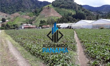 Se Vende Finca Agrícola 32.315 Mts Chiriquí Montañas $1.000.000.00