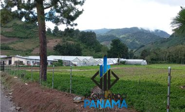 Se Vende Finca Agrícola 32.315 Mts Chiriquí Montañas $1.000.000.00