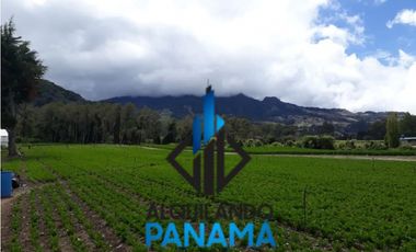 Se Vende Finca Agrícola 32.315 Mts Chiriquí Montañas $1.000.000.00