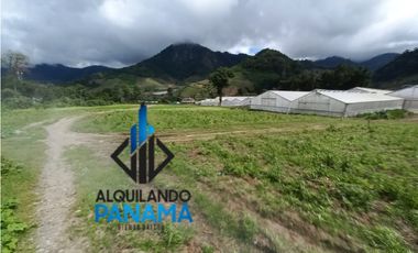 Se Vende Finca Agrícola 32.315 Mts Chiriquí Montañas $1.000.000.00