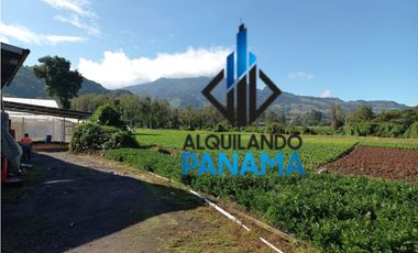Se Vende Finca Agrícola 32.315 Mts Chiriquí Montañas $1.000.000.00