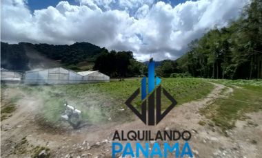 Se Vende Finca Agrícola 32.315 Mts Chiriquí Montañas $1.000.000.00
