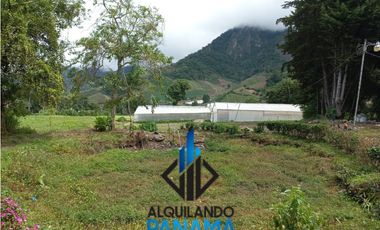 Se Vende Finca Agrícola 32.315 Mts Chiriquí Montañas $1.000.000.00