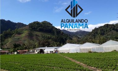 Se Vende Finca Agrícola 32.315 Mts Chiriquí Montañas $1.000.000.00
