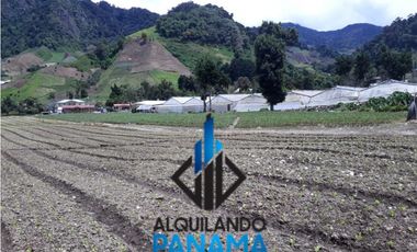 Se Vende Finca Agrícola 32.315 Mts Chiriquí Montañas $1.000.000.00