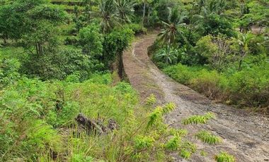 Jual Tanah Kavling Di Pulau Nusa Penida Bali