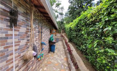 Finca en Damasco (Suroeste Antioqueño)