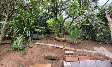 Finca en Damasco (Suroeste Antioqueño)